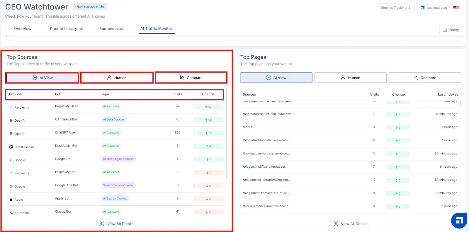Scalenut AI traffic analysis